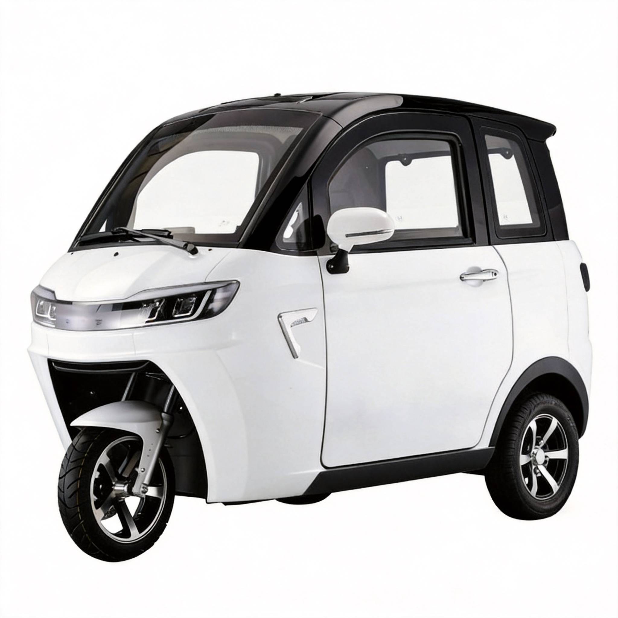 SWEXA RacerX V3 Li-Io 45kmh/1200W/75Ah/85km WS E-Kabinenroller