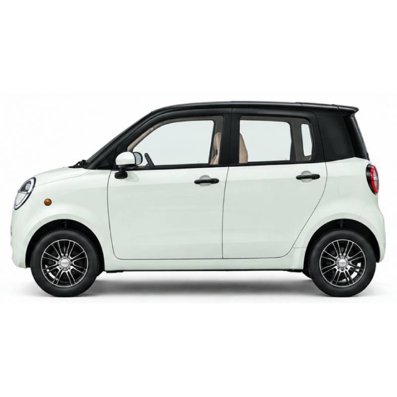 Futura Dora Blei 45kmh/4000W/60V/100Ah/240kg/100km WS Microcar