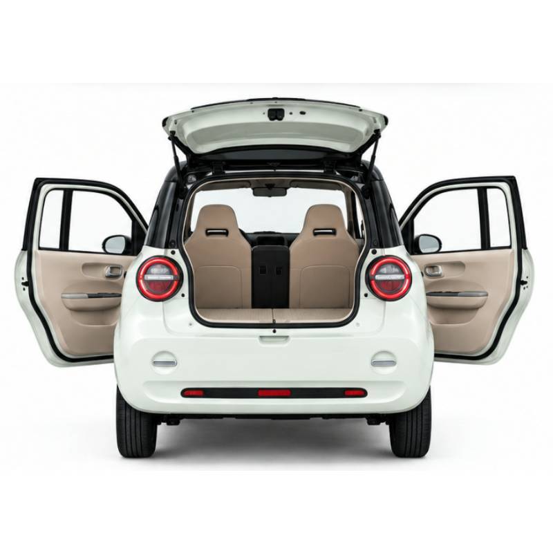 Futura Dora Li LFP 45kmh/4000W/60V/100Ah/240kg/100km WS Microcar