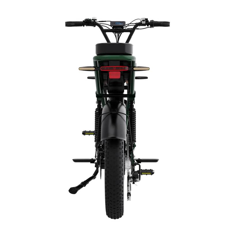 RCB ROCK OUR LIFE G19 Pro E-Bike GN 20" 1497,6Wh 120km Mopedbike