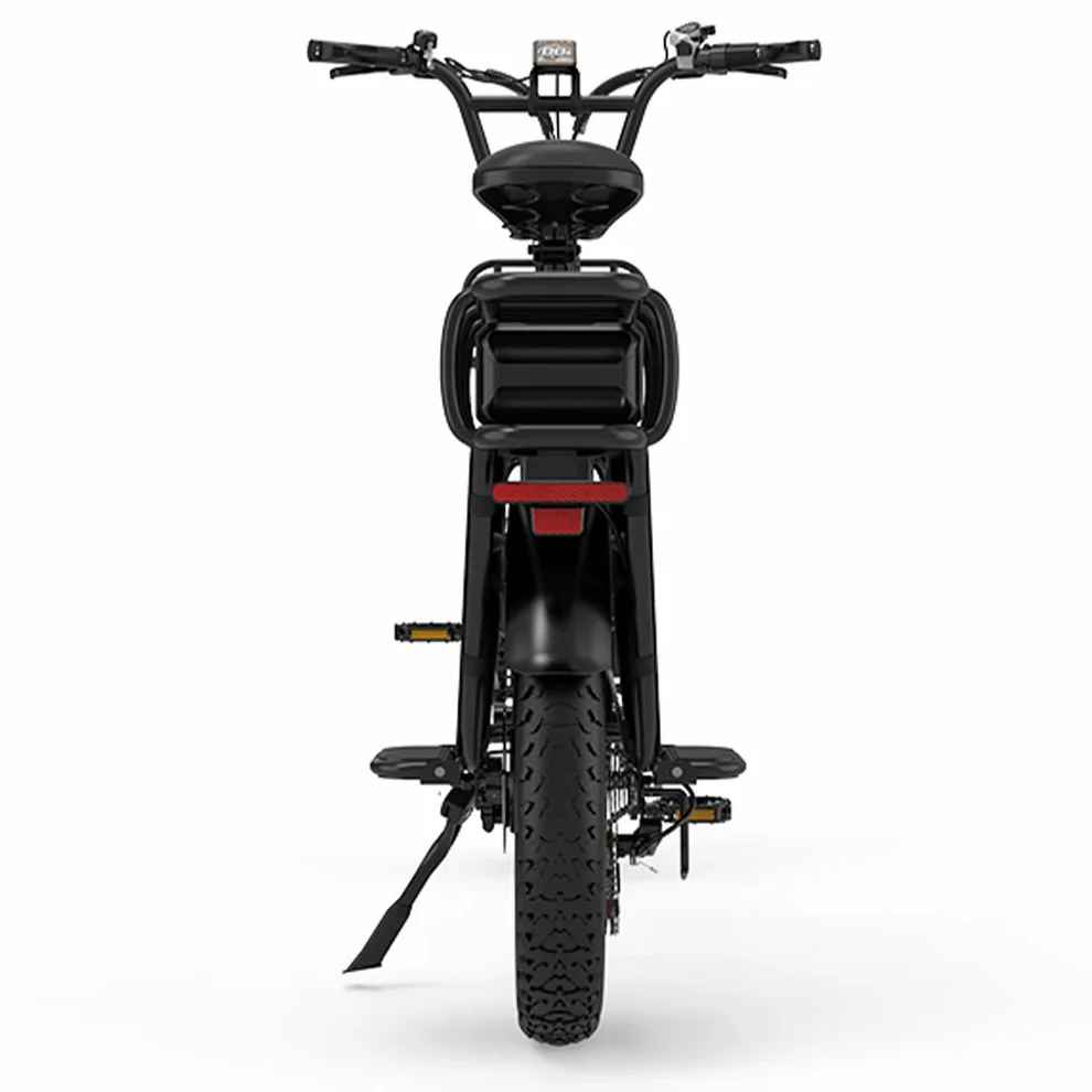 Koolux X8 E-Bike SW 20" 48V/3120Wh/120kg 220km Lastenfahrrad