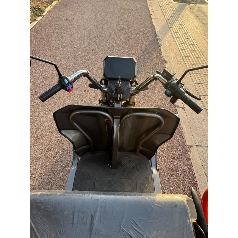 LIMA Rhino Plus Li Dach Li-Io 45kmh/1500W/50Ah GR E-Kabinenroller