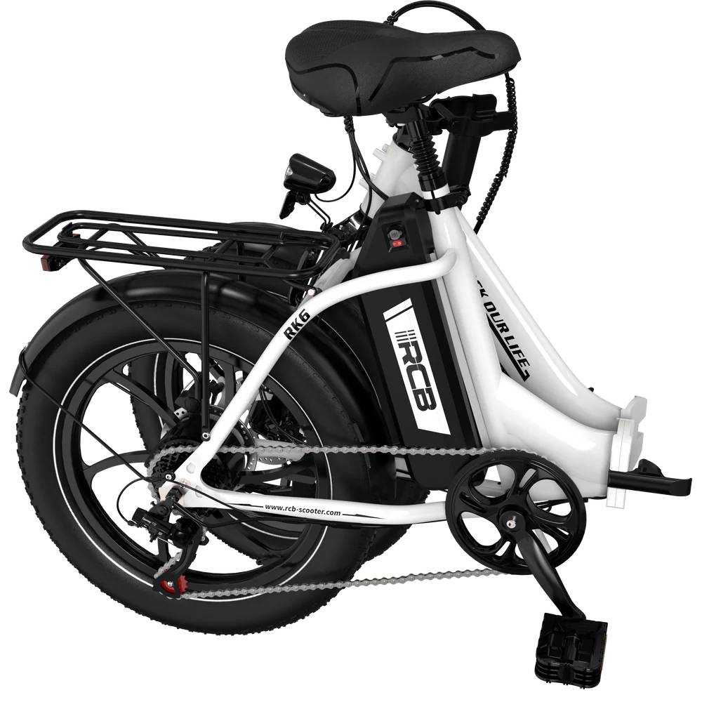 RCB ROCK OUR LIFE RK6 E-Bike WS 20" 561,6Wh/120kg 80km Klapprad