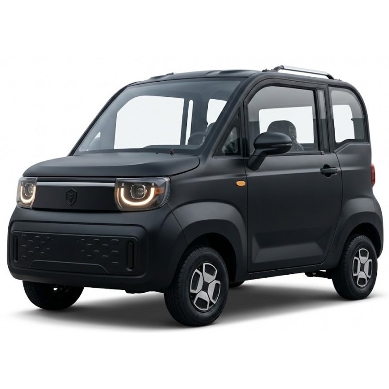 Futura Breeze Base Blei 45kmh/4000W/58Ah/60km SW E-Kabinenroller