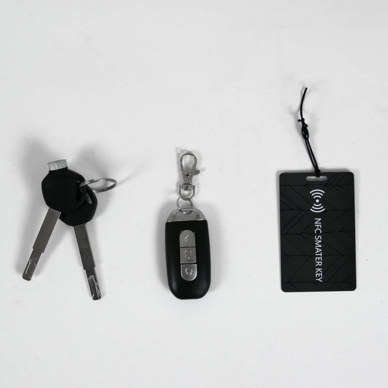 Futura Falcon Double 2xAkku Li-Io 25kmh/2400W/2x20Ah PB E-Roller