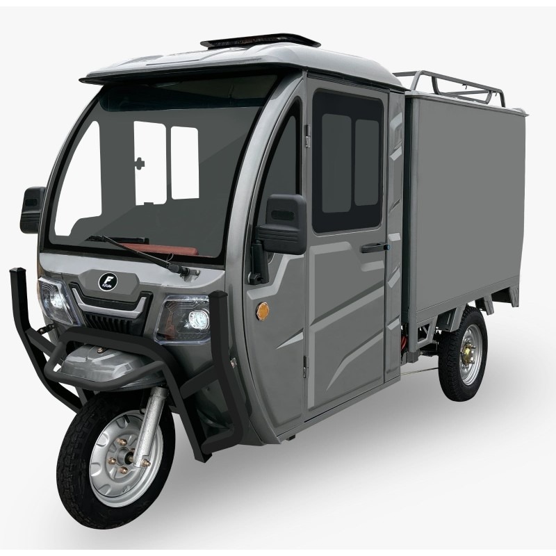 Futura Cargo Cabin Box LFP 45kmh/4000W/50Ah GR E-Kabinenroller