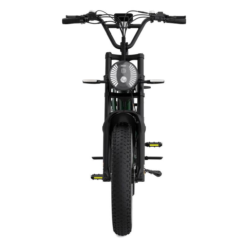 RCB ROCK OUR LIFE G19 Pro E-Bike GN 20" 1497,6Wh 120km Mopedbike