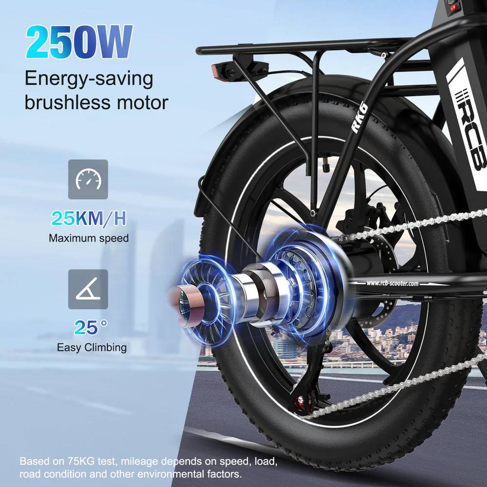 RCB ROCK OUR LIFE RK6 E-Bike SW 20" 561,6Wh/120kg 80km Klapprad