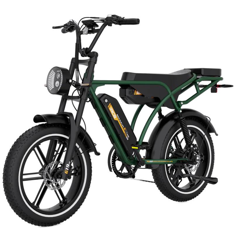 RCB ROCK OUR LIFE G19 Pro E-Bike GN 20" 1497,6Wh 120km Mopedbike