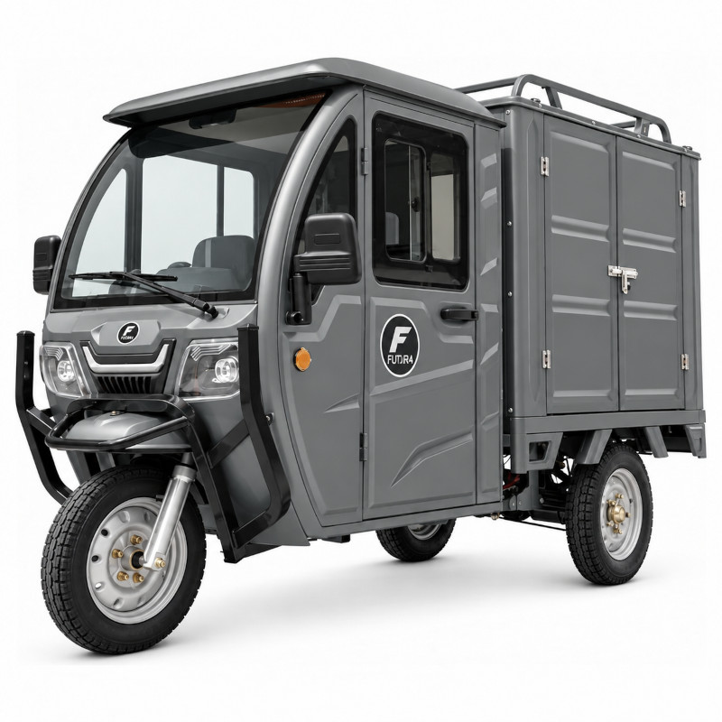 Futura Cargo Cabin Box Blei 45kmh/4000W/58Ah GR E-Kabinenroller