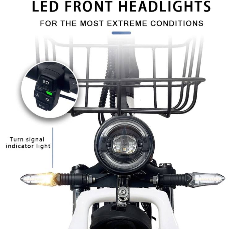 DrVetion CT20 E-Bike WS 20" 48V/20Ah/960Wh/100kg 110km Klapprad