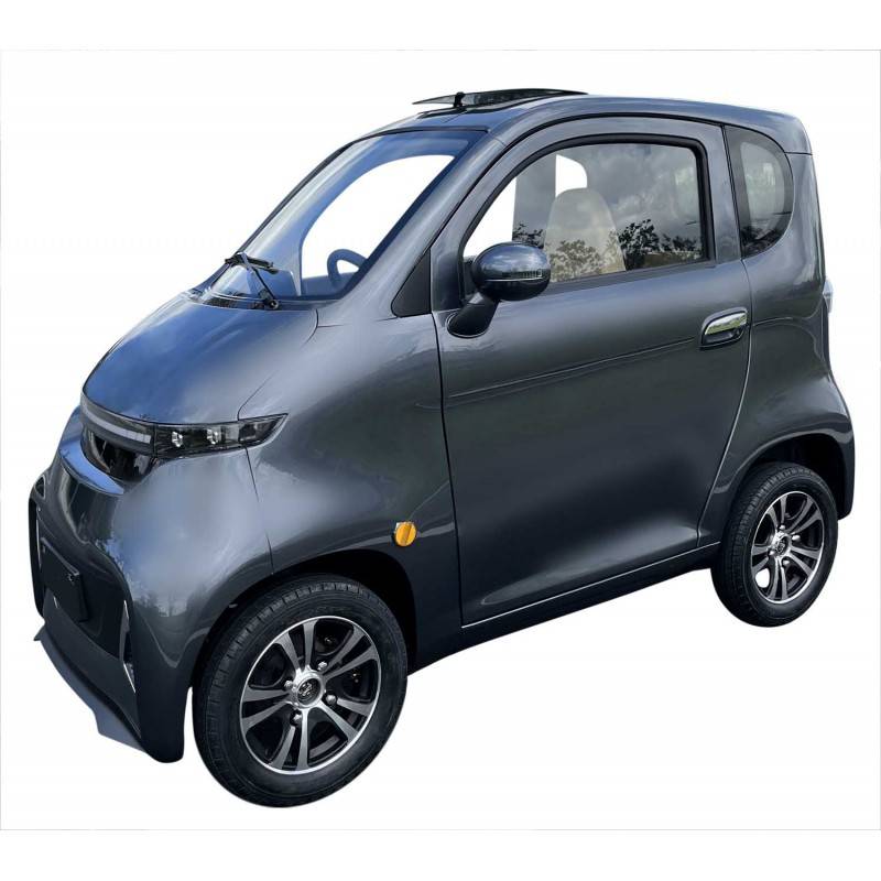 Futura Two Li Li-Io 25kmh | 45kmh/1500W/2x52Ah GR E-Kabinenroller