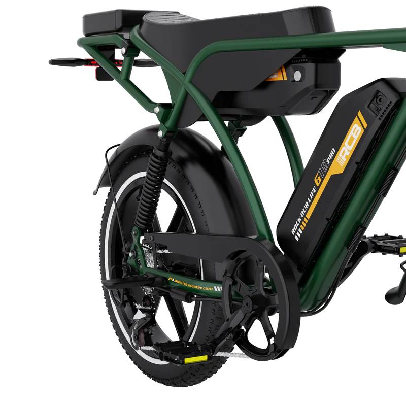 RCB ROCK OUR LIFE G19 Pro E-Bike GN 20" 1497,6Wh 120km Mopedbike