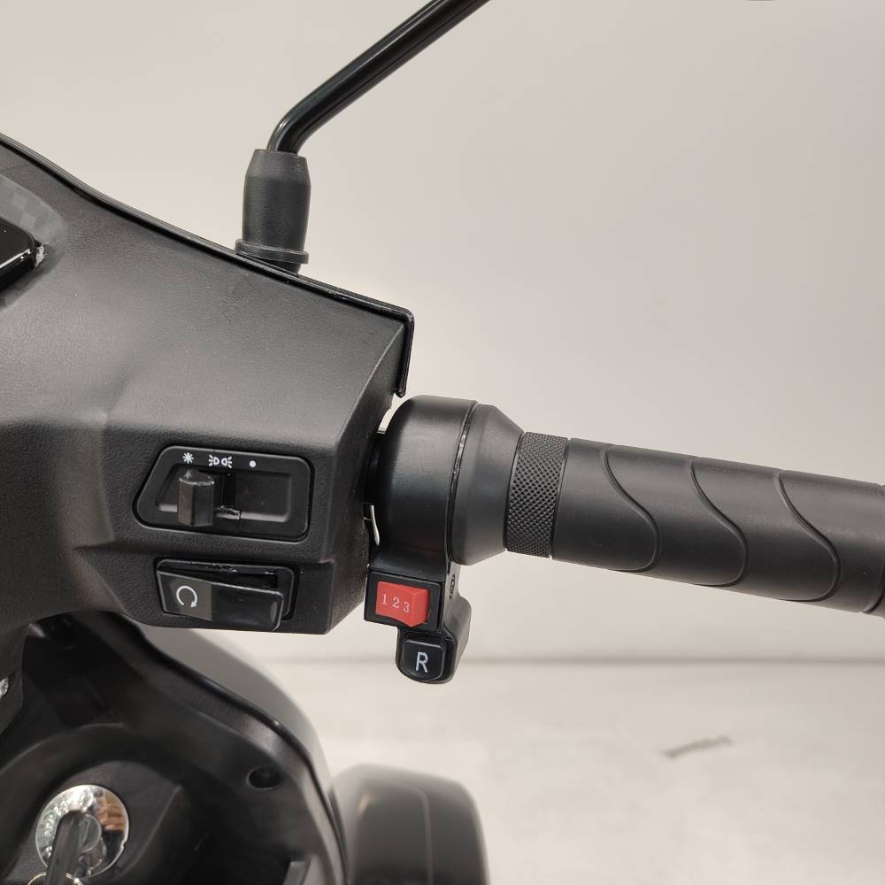 Elion E-Quad L4 Li-Io 25kmh/1000W/40Ah/80km SW Seniorenmobil #1
