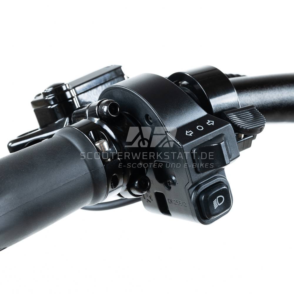 AB SEPTEMBER! Teverun Fighter Mini Pro ABE SW 22kmh 90km 2x250W 2600W E-Scooter