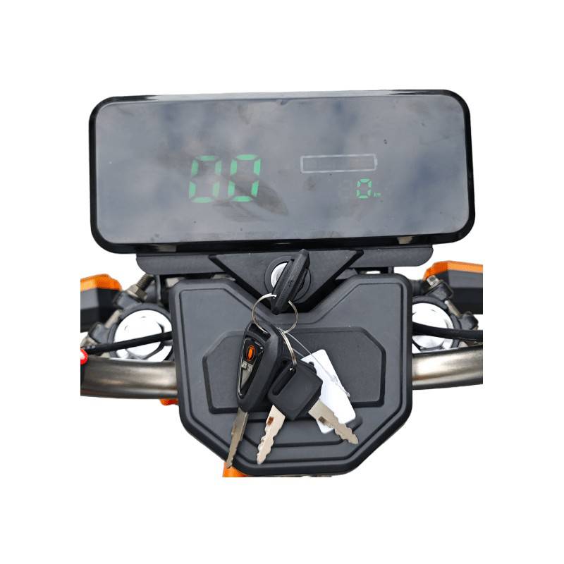 Futura Cargo Cruiser Blei 45kmh/1500W/65Ah GR E-Kabinenroller