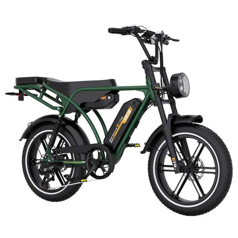 RCB ROCK OUR LIFE G19 Pro E-Bike GN 20" 1497,6Wh 120km Mopedbike
