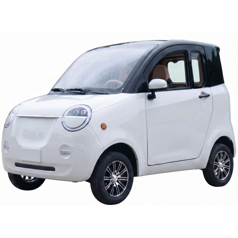 Futura Dora Li Li-Io 45kmh/4000W/60Ah/70km WS E-Kabinenroller