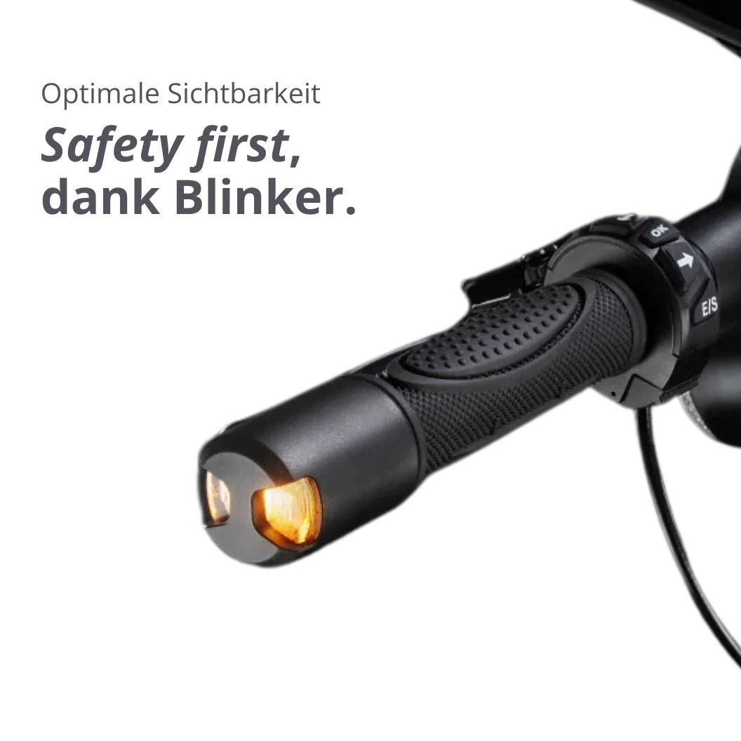 VMAX VX8 SW 22kmh 45km 432Wh 500W 1400W 120kg E-Scooter ABE