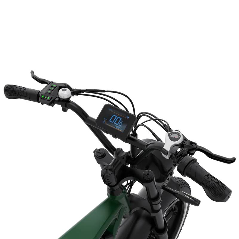 RCB ROCK OUR LIFE G19 Pro E-Bike GN 20" 1497,6Wh 120km Mopedbike