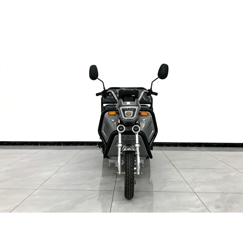 Futura Cargo Plus Blei 45kmh/2540W/20Ah/60km GR E-Kabinenroller