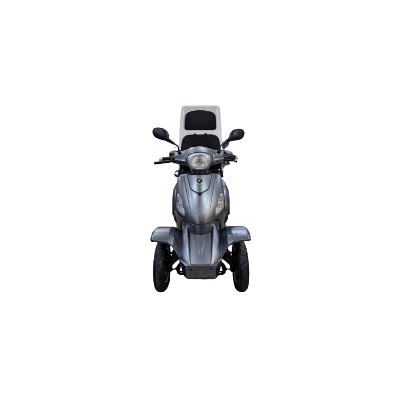 Futura Vita Care 4000 Li Cargo25kmh/1000W/40Ah GR Seniorenmobil