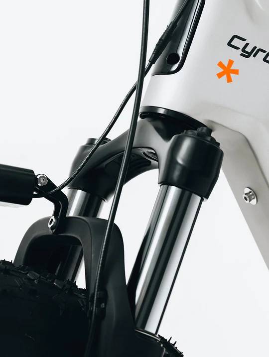 Cyrusher Zenith E-Bike GN |GR|SI 26" 780Wh 96km Mountainbike