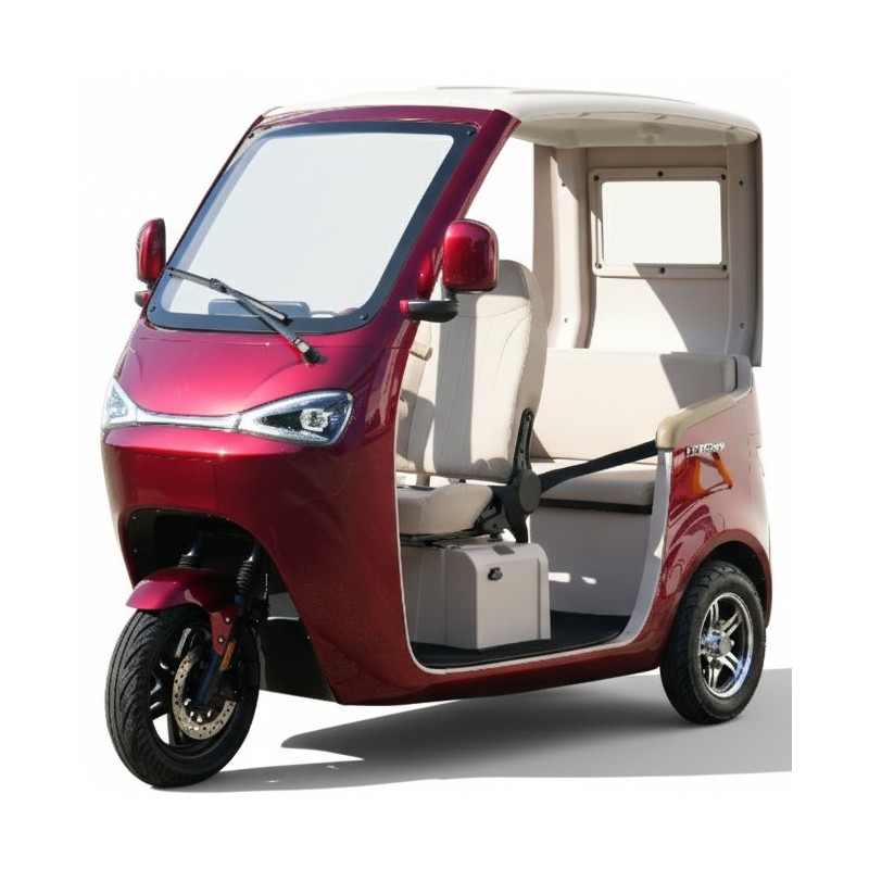 Futura E-Move Blei 45kmh/2000W/45Ah/244kg/70km RT E-Kabinenroller