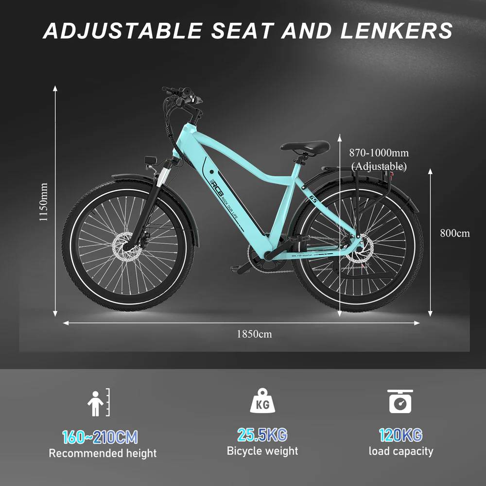 RCB ROCK OUR LIFE G5 E-Bike SI 27,5" 374,4Wh/120kg 90km Citybike