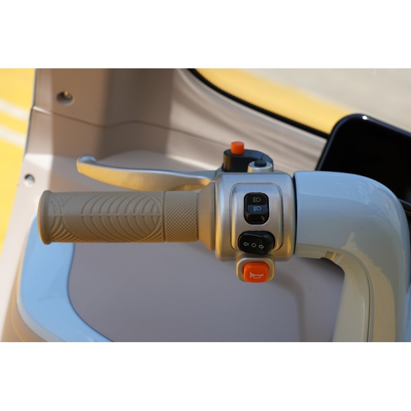 Futura E-Move Blei 45kmh/2000W/45Ah/244kg/70km RT E-Kabinenroller