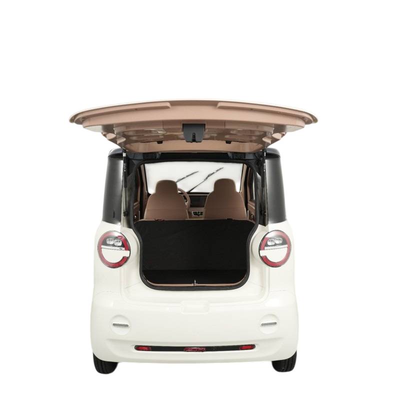 Futura Dora Li Li-Io 45kmh/4000W/2x60Ah/140km WS E-Kabinenroller