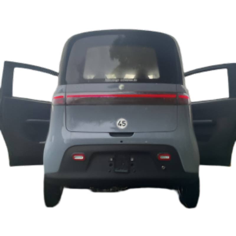 Scheelen Skyliner LiPo 45kmh/3200W/100Ah HBL E-Kabinenroller