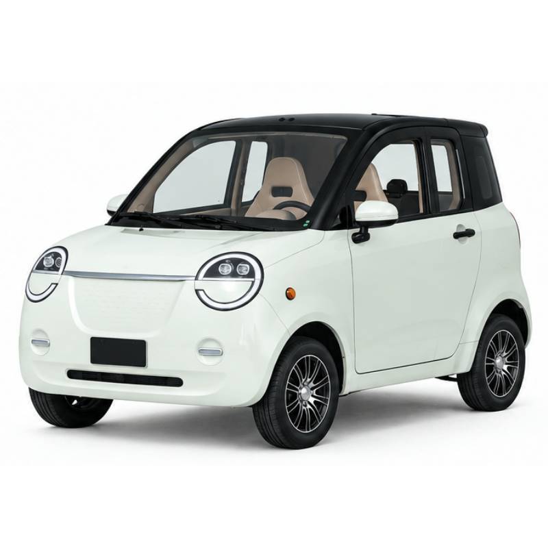 Futura Dora Blei 45kmh/4000W/60V/100Ah/240kg/100km WS Microcar