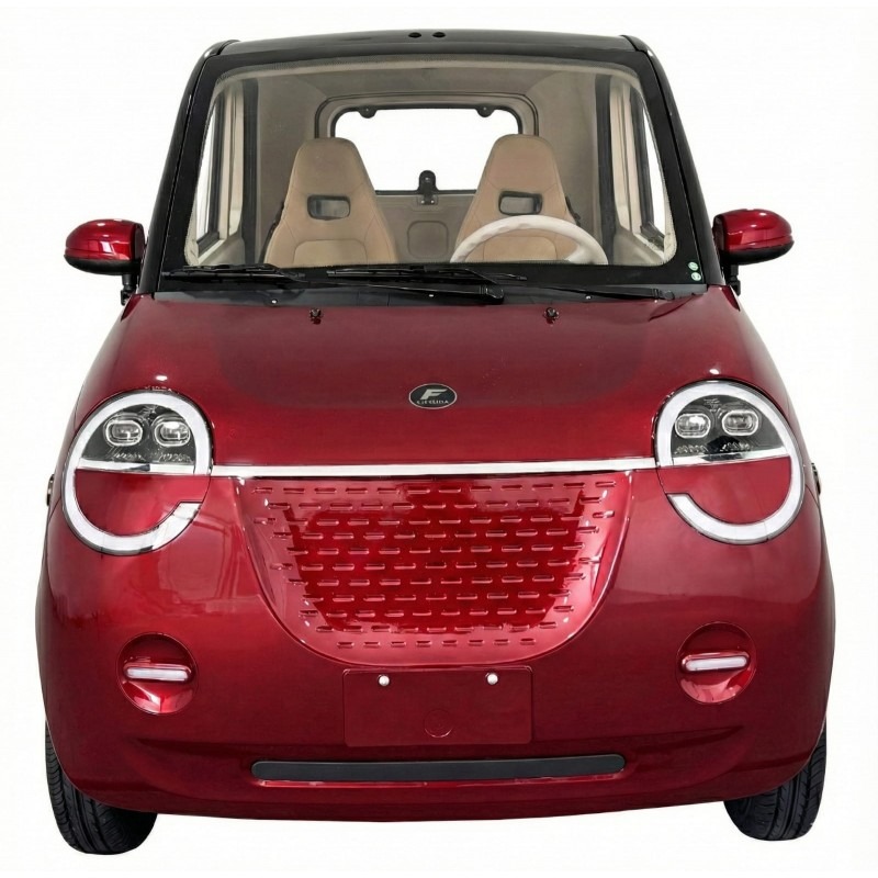 Microcar – E-AUTO VMA 04 – 45 150 Ah LifePo4