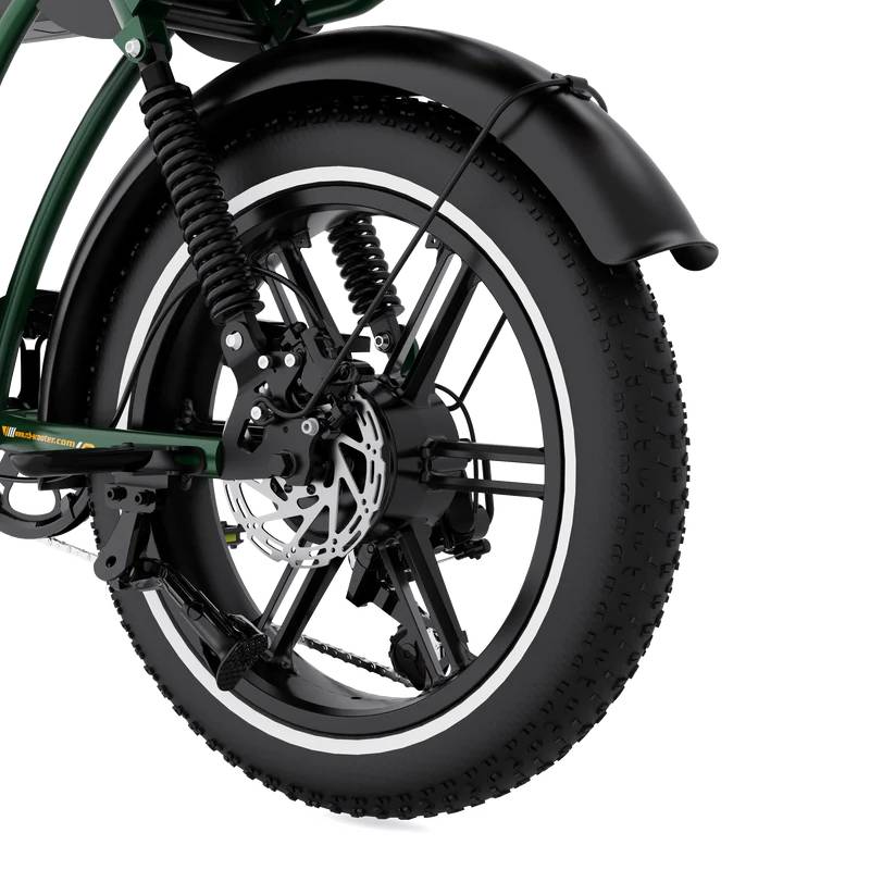 RCB ROCK OUR LIFE G19 Pro E-Bike GN 20" 1497,6Wh 120km Mopedbike