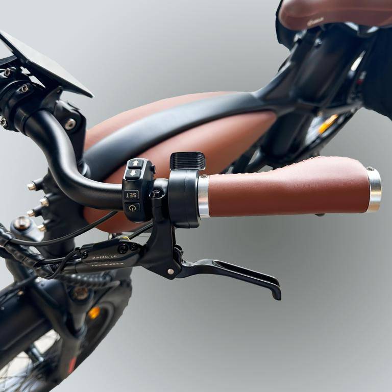 MC E-BIKE MID E-Coffeecruiser E-Bike BRW 20" 756Wh 80km Fatbike