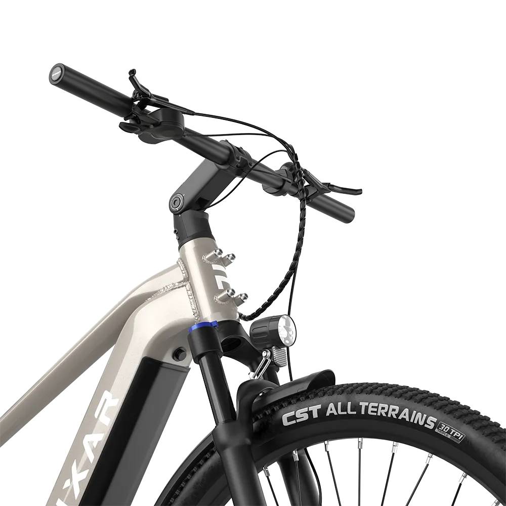 PIXAR Largo E-Bike WS 29" 36V/15,8Ah/568,8Wh/300kg 140km Touring
