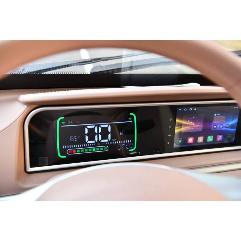 Futura Flow Li 2xAkku Li-Io 45kmh/4000W/2x60Ah GR E-Kabinenroller