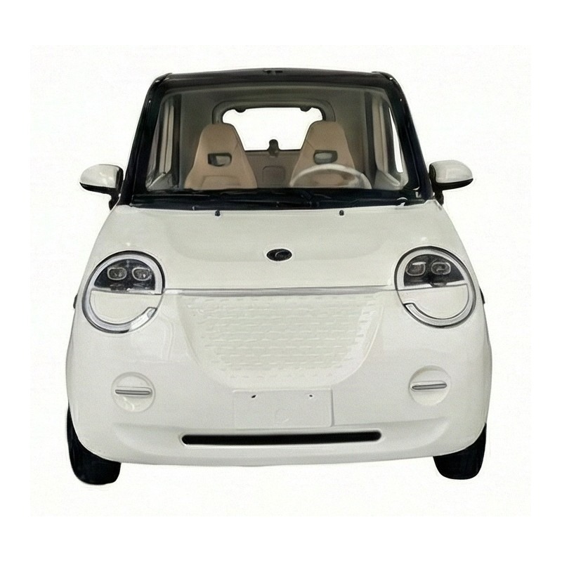 Futura Dora Li Li-Io 45kmh/4000W/2x60Ah/140km WS E-Kabinenroller