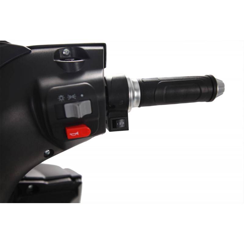 Futura Falcon Double 2xAkku Li-Io 25kmh/2400W/2x20Ah GW E-Roller