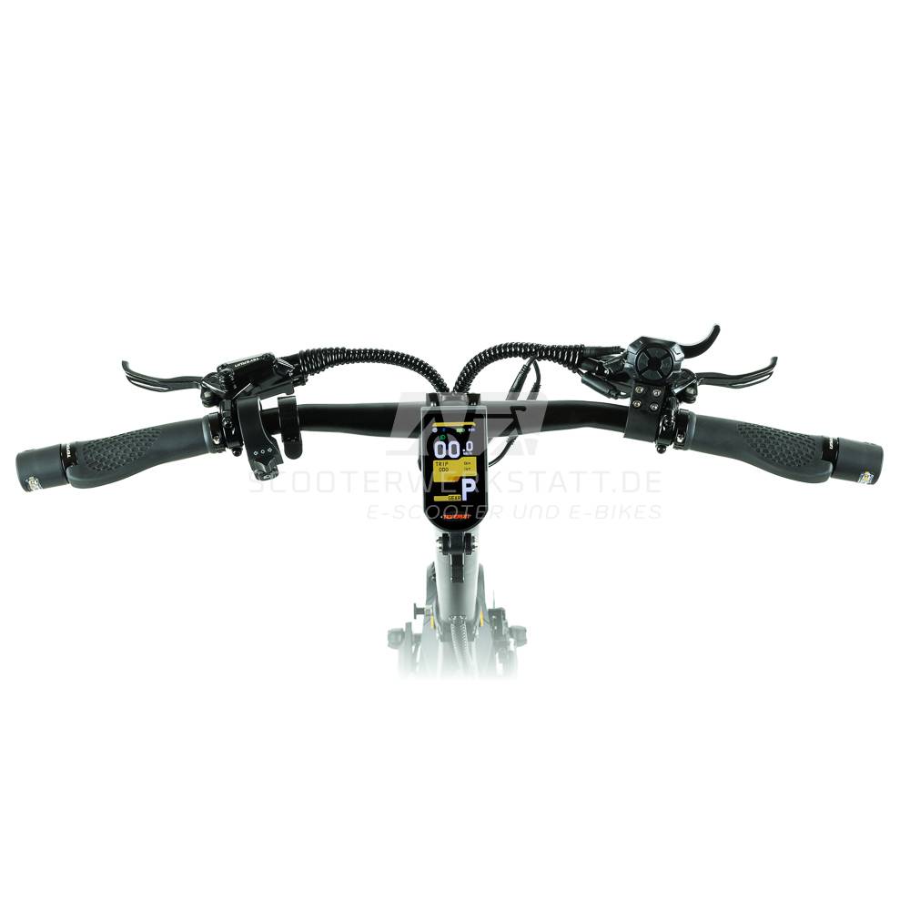 Teverun Fighter Mini Pro eKFV SW 22kmh 90km 2600W E-Scooter ABE