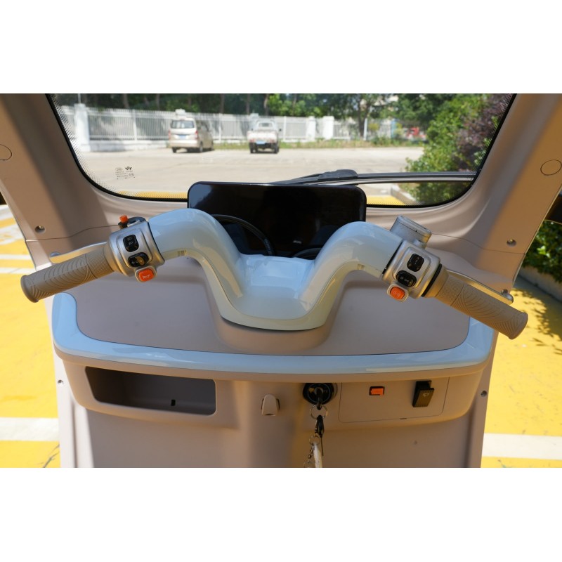 Futura E-Move Blei 45kmh/2000W/45Ah/244kg/70km RT E-Kabinenroller