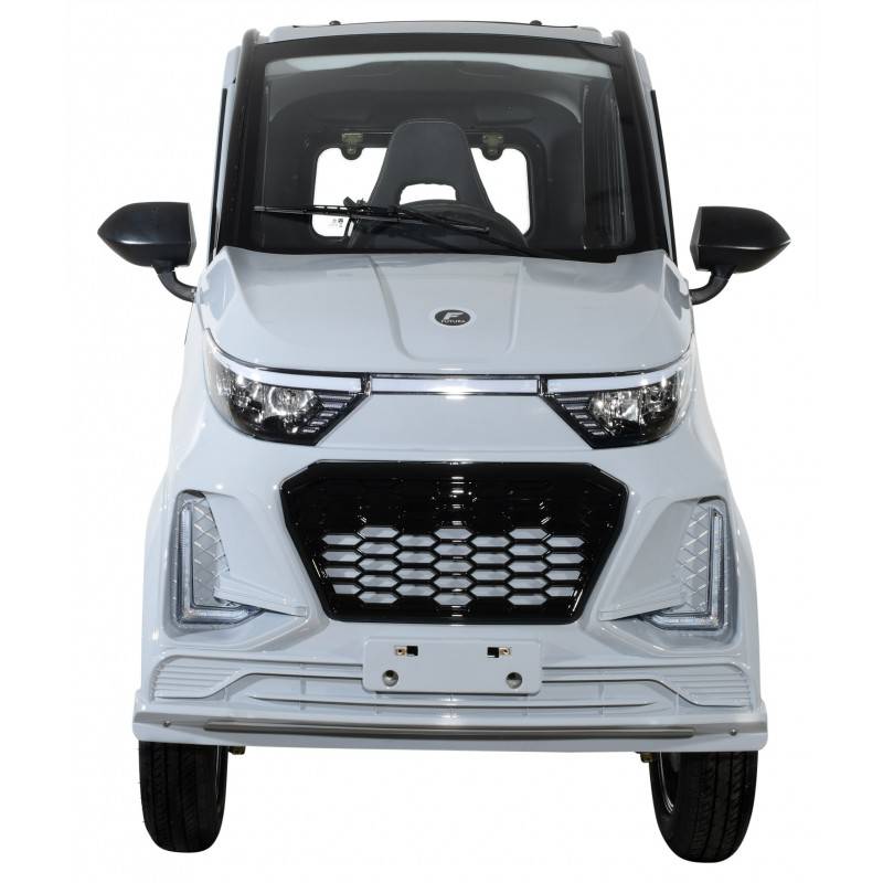 Futura Electron Li 2xAkku 45kmh/2200W/2x60Ah GR E-Kabinenroller