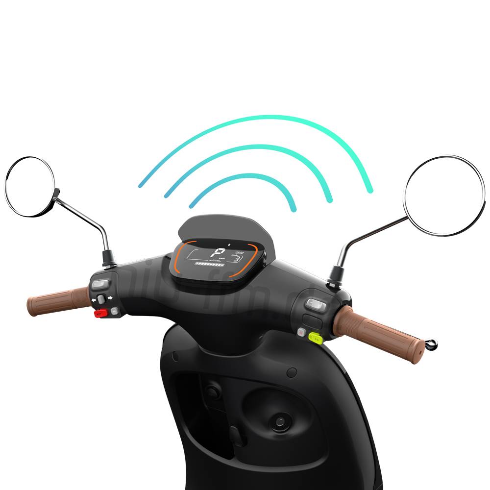 Segway Ninebot E110S Li-Io 45kmh/1000W/30Ah/75km WS E-Roller