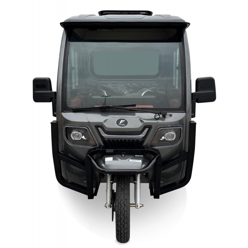Futura Cargo Cabin Box LiPo 45kmh/4000W/50Ah GR E-Kabinenroller