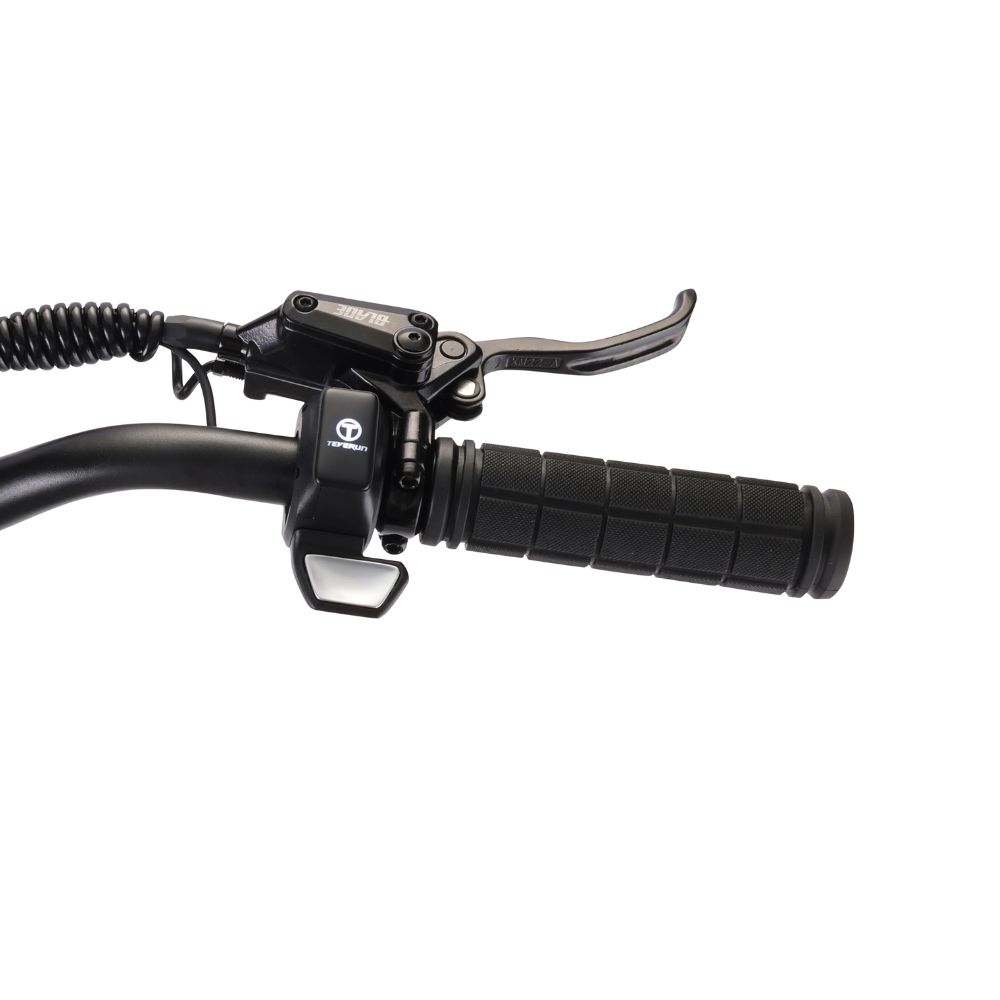 Teverun Blade Mini Ultra SW 60kmh 60km 2x1000W 2x2400W E-Scooter