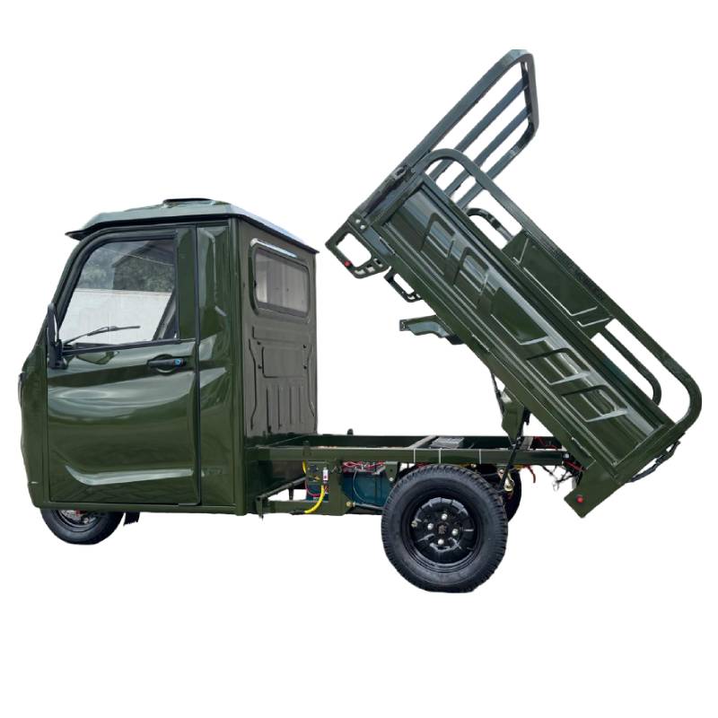 Nelio Cargo Blei 25kmh/2000W/80Ah/460kg/70km GN E-Kabinenroller