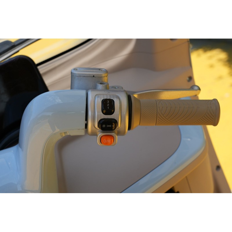 Futura E-Move Blei 45kmh/2000W/45Ah/244kg/70km GR E-Kabinenroller