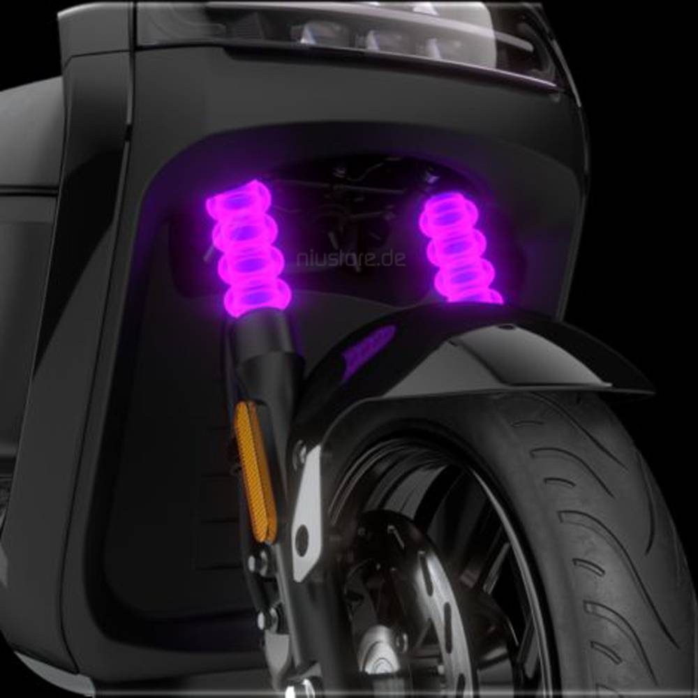 Segway Ninebot E110S Li-Io 45kmh/1000W/30Ah/75km WS E-Roller