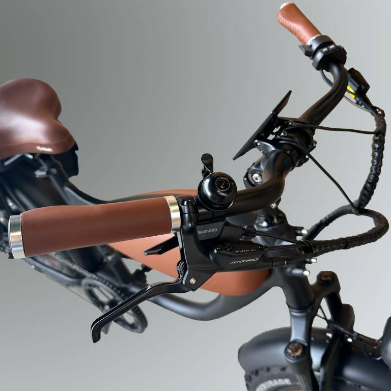 MC E-BIKE MID E-Coffeecruiser E-Bike BR-SW 20" 756Wh 80km Fatbike